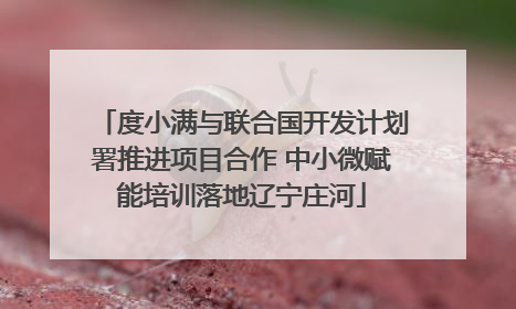 度小满与联合国开发计划署推进项目合作 中小微赋能培训落地辽宁庄河